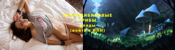 круглые Алзамай