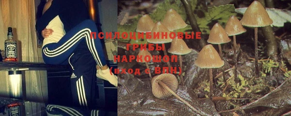 гидропоника Алексеевка