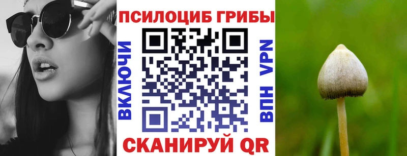 продажа наркотиков  Курск  Псилоцибиновые грибы MAGIC MUSHROOMS 