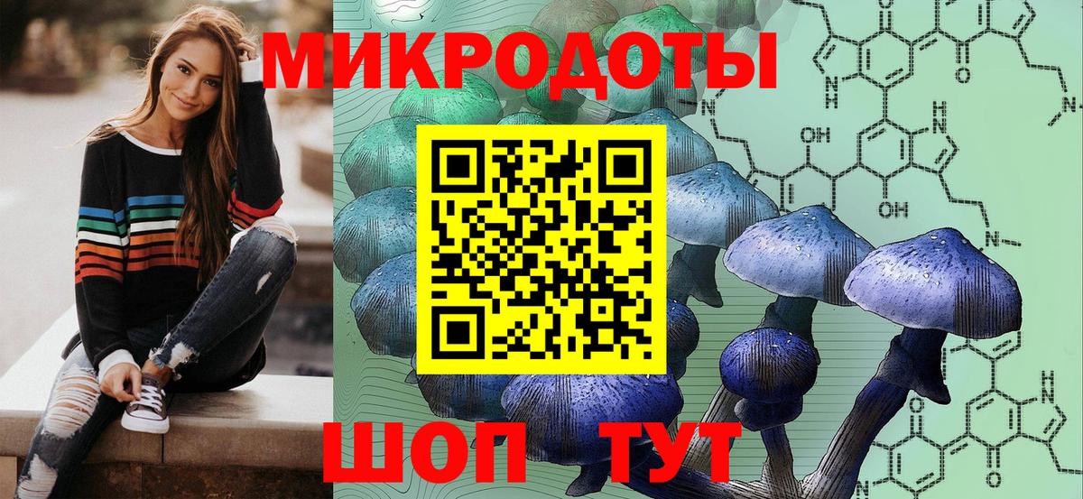 Псилоцибиновые грибы Psilocybine cubensis  как найти   Вход с VPN  Курск  Галлюциногенные грибы прущие грибы 